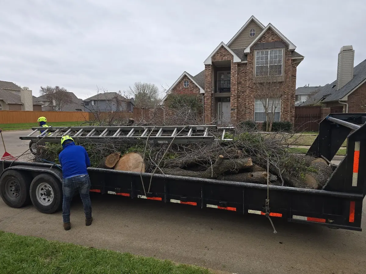 Expert Tree Pest Control with proper safety equipment in Bledsoe